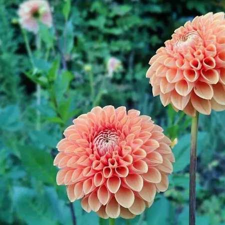 Uw Eigen Boerderij Bij Le Moulin De La Place Сasa de vacaciones *