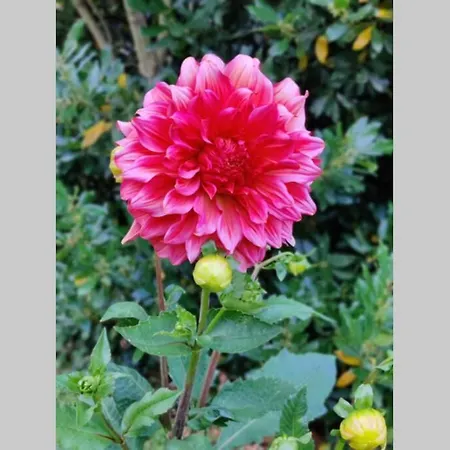 Uw Eigen Boerderij Bij Le Moulin De La Place Сasa de vacaciones Hargicourt