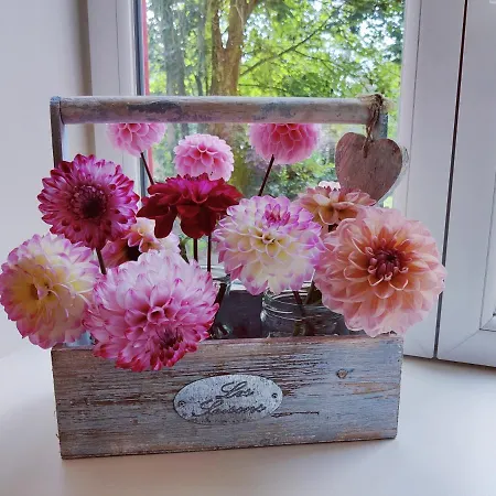 Uw Eigen Boerderij Bij Le Moulin De La Place بيت للعطل Hargicourt